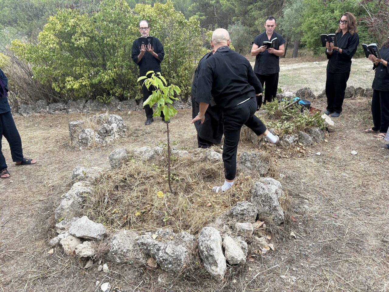 Imagen de portada de Un cerezo en memoria de Ervigio