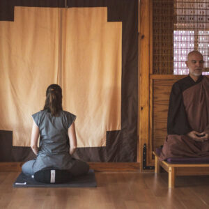 Curso de Introducción a la Meditación Zen II